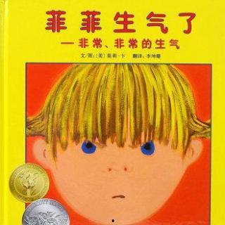 菲菲生气了视频,一场网络视频引发的全民热议