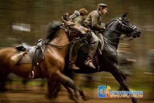 《战马》免费观看,免费观影，感受战争与生命的震撼