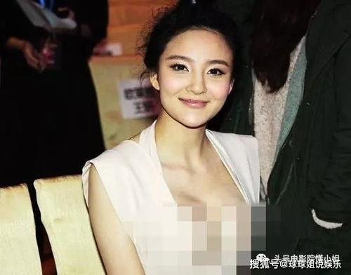 古晨老公刘晨鹏 银行,揭秘银行界风云人物背后的故事