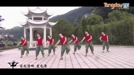 踏歌 视频,探寻传统与现代交融的舞蹈魅力