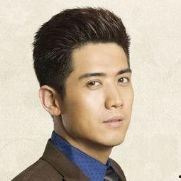 b型血的男明星,揭秘B型血魅力男星的独特魅力