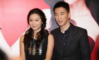 明星被扯光视频,不堪入目的视频引发社会热议