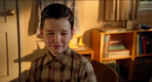 小谢尔顿在线播放10,成长与挑战的青春篇章