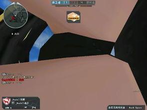 cf夜玫瑰穿丝袜图片,夜玫瑰的性感魅力一瞥