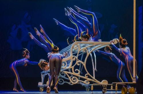 杂枝表演视频,跟随视频领略杂枝表演的惊险与魅力