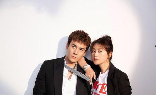 小爸爸免费观看全集33,揭秘育儿路上的温馨与挑战