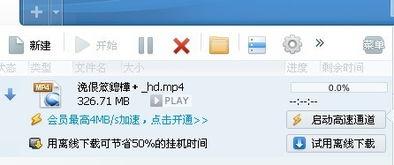 av码 迅雷,轻松获取热门资源