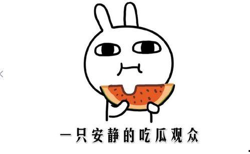 吃瓜表情是什么意思啊内涵句子,网络热词背后的幽默与内涵